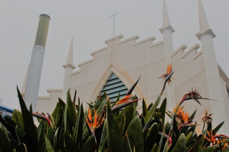 COMIENZAN LAS FIESTAS DEL SAGRADO CORAZÓN DE JESÚS DEL BARRIO DE LA PUNTA