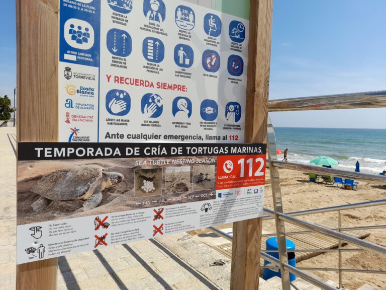 EL AYUNTAMIENTO INICIA LA CAMPAÑA ANUAL PARA INFORMAR SOBRE EVENTUALES NIDIFICACIONES DE TORTUGAS MARINAS EN LAS PLAYAS