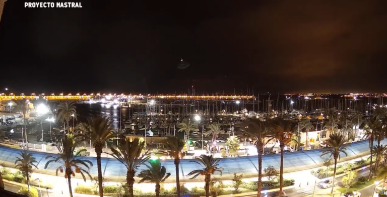 El fuerte viento provoca la caída de una palmera en el paseo Vista alegre.