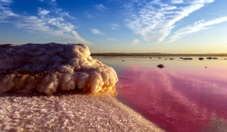 LA UNIVERSIDAD COMPLUTENSE DE MADRID (UCM) ENTREGA AL AYUNTAMIENTO EL INFORME FINAL DEL ESTUDIO TÉCNICO-CIENTÍFICO SOBRE USOS TERAPÉUTICOS DE LA SALMUERA Y PELOIDES DE LA LAGUNA ROSA DE TORREVIEJA
