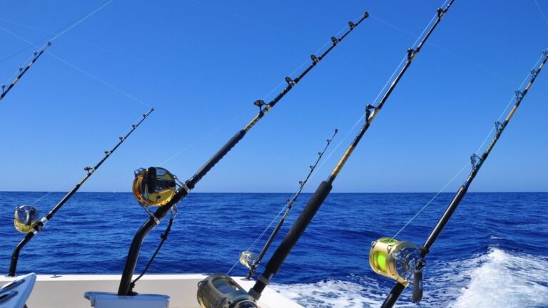 El SEPRONA detiene a un pescador del puerto de Torrevieja por pesca ilegal