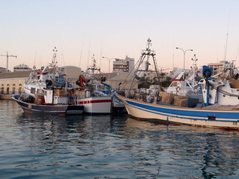 Torrevieja y sus pescadores se une al proyecto de reciclaje de basura marina