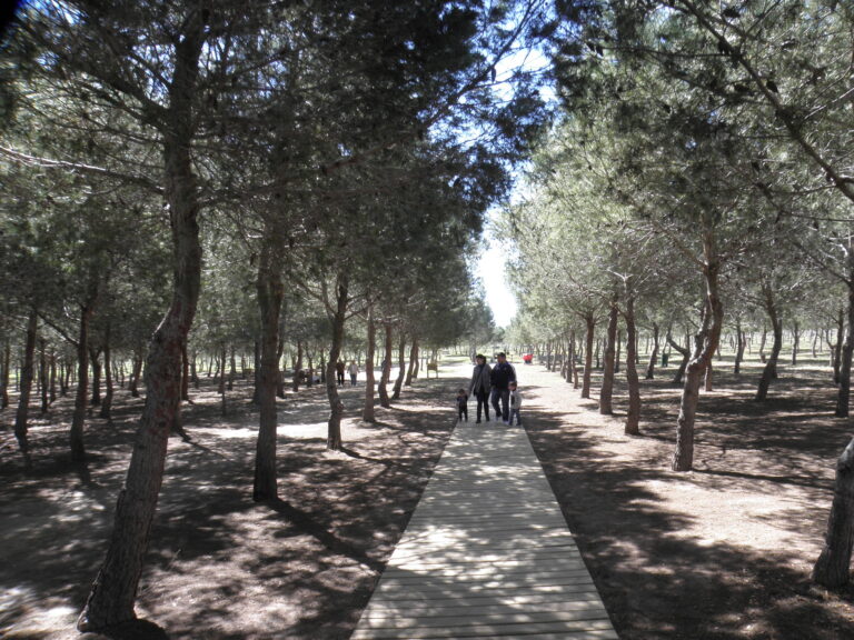 A PARTIR DE MAÑANA SE PODRÁ SOLICITAR ACAMPAR EN SEMANA SANTA EN EL ÁREA RECREATIVA “JOSÉ EDUARDO GIL REBOLLO”