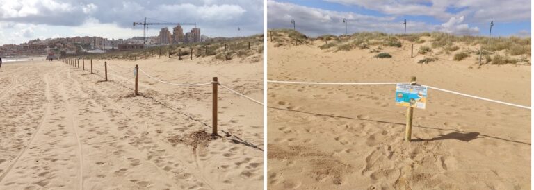 NUEVO BALIZADO DE MÁS DE 400 METROS LINEALES PARA SALVAGUARDAR LA NIDIFICACIÓN DEL CHORLITEJO PATINEGRO EN LA PLAYA DE LA MATA