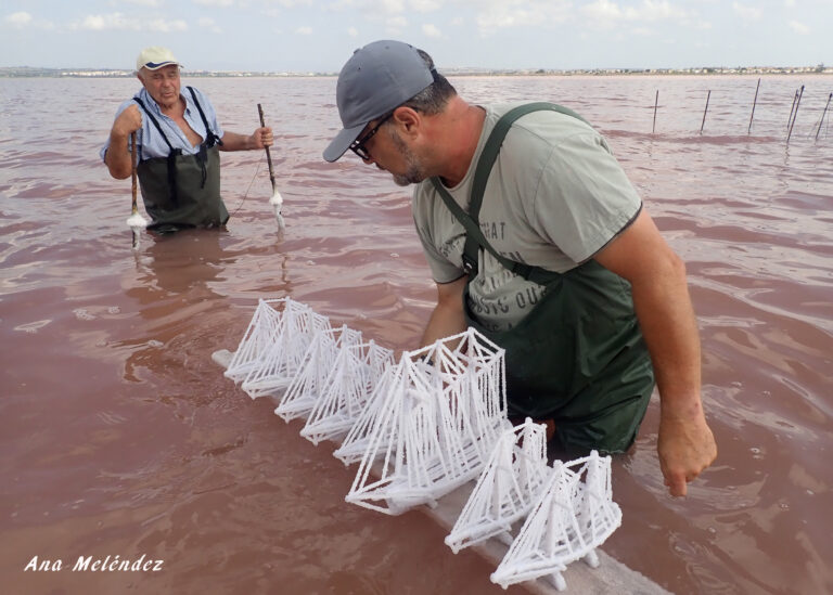 LA ESCUELA MUNICIPAL DE ARTESANÍA YA TIENE SUS BARCOS CUAJADOS EN SAL