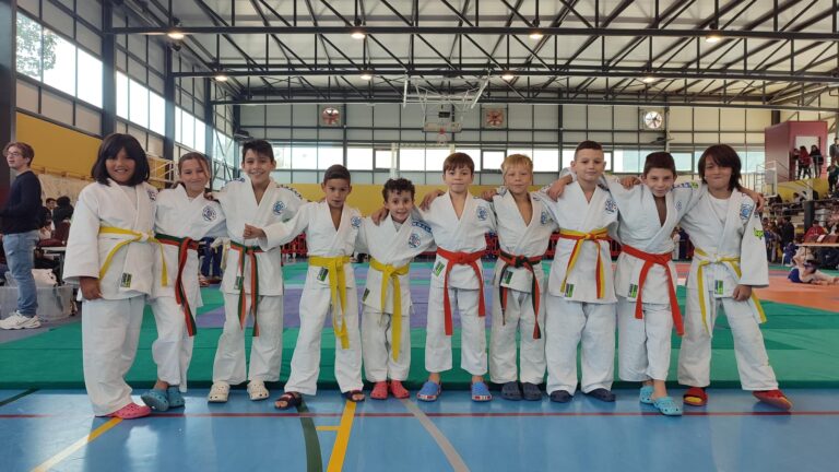 MEDALLAS PARA EL JUDO CLUB NOZOMI EN LA COPA DE MOIXENT (VALENCIA)