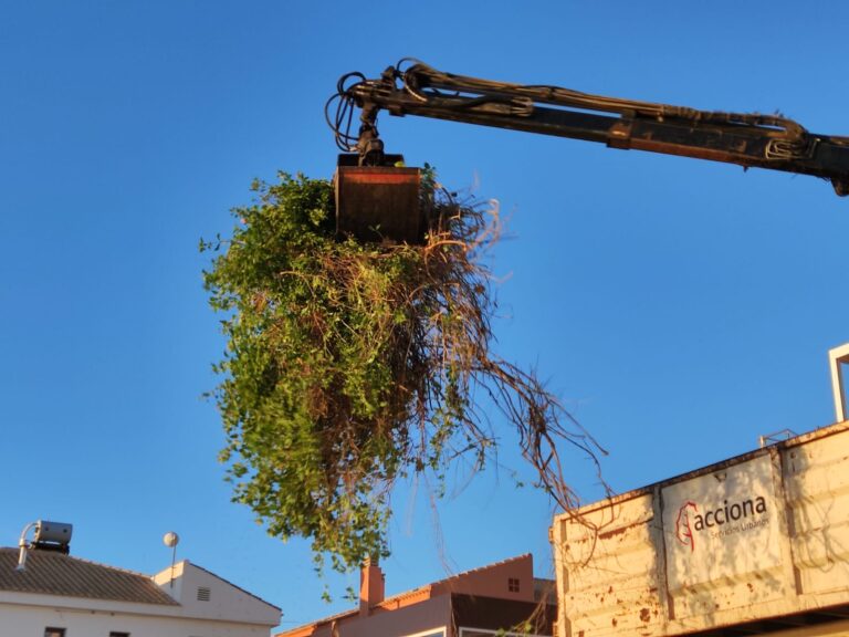 <strong>COMIENZAN LOS TRABAJOS DE ELIMINACIÓN DE FLORA EXÓTICA INVASORA EN LA MICRORRESERVA DE CABO CERVERA</strong>