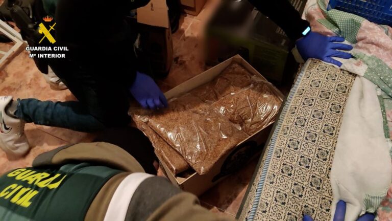 Desmantelada una frutería en Torrevieja donde se vendía droga