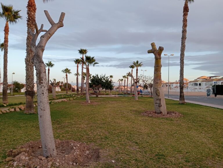 24 DE LOS ÁRBOLES QUE RODEAN EL PARQUE DE LAS NACIONES HAN SIDO TRASPLANTADOS JUNTO A LA VÍA VERDE