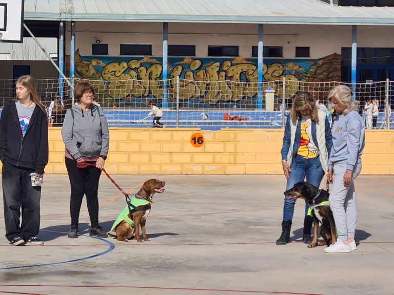 COMIENZAN LAS VISITAS A LOS CENTROS ESCOLARES DE TORREVIEJA PARA CONCIENCIAR SOBRE EL BIENESTAR DE LOS ANIMALES Y FOMENTAR LAS ADOPCIONES