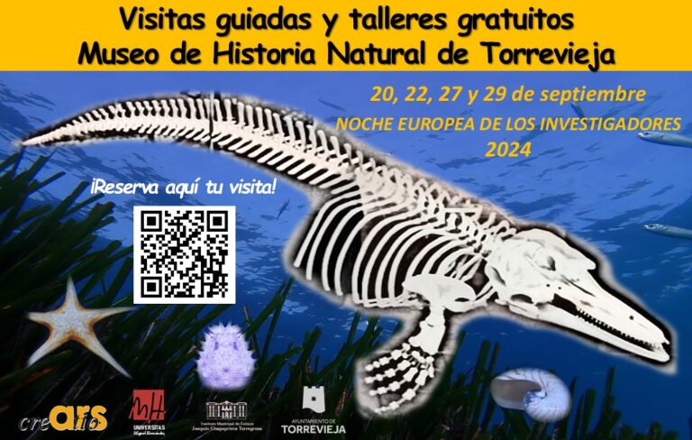 Regresan las visitas guiadas y talleres del cerebro en el Museo de Historia Natural por la Noche de los Investigadores