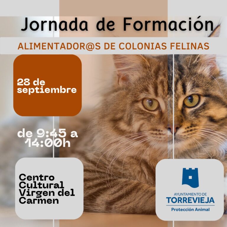 LA CONCEJALIA DE PROTECCIÓN ANIMAL ORGANIZA UNA JORNADA DE FORMACIÓN DE ALIMENTACIÓN DE COLONIAS FELINAS