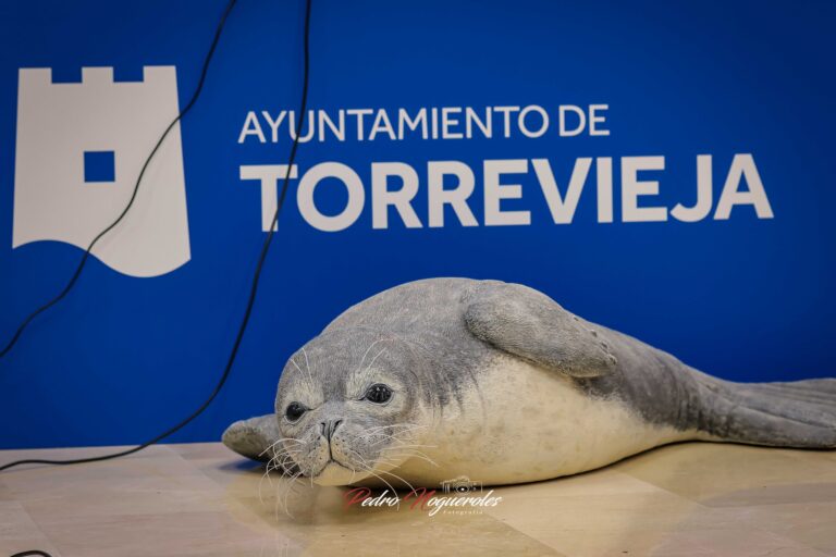 LA FOCA MONJE CIERRA LAS JORNADAS DE BIODIVERSIDAD DE LA SEDE DE LA UA EN TORREVIEJA Y FAUNATURA
