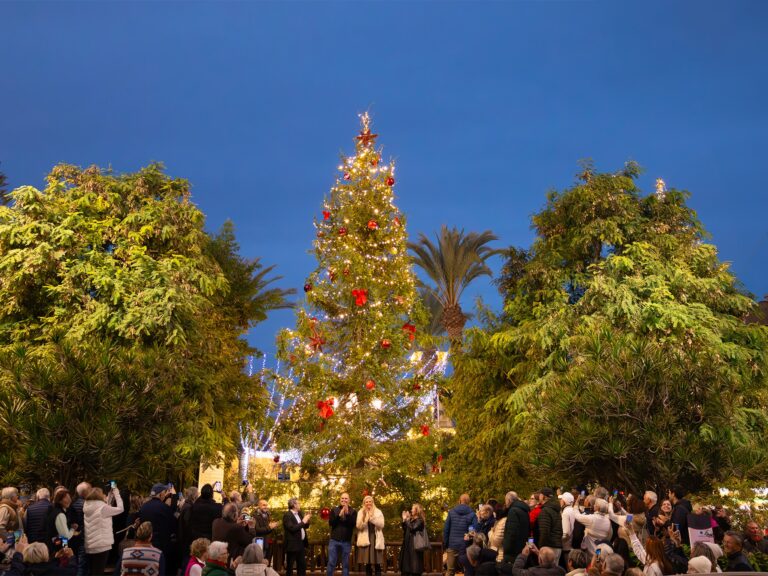 ESTE DOMINGO, 1 DE DICIEMBRE, A LAS 18:00 HORAS, SE REALIZARÁ EL ENCENDIDO DEL ÁRBOL DE NAVIDAD PROCEDENTE DE SUECIA