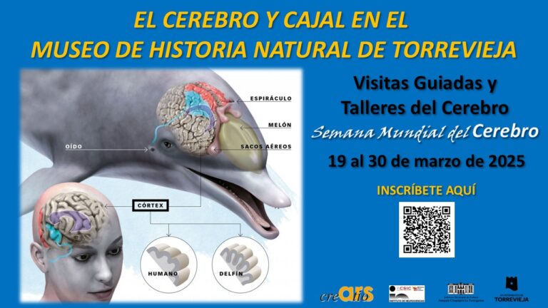 Tercera edición de “El cerebro y Cajal en el Museo de Historia Natural” organizado por Ars Creatio