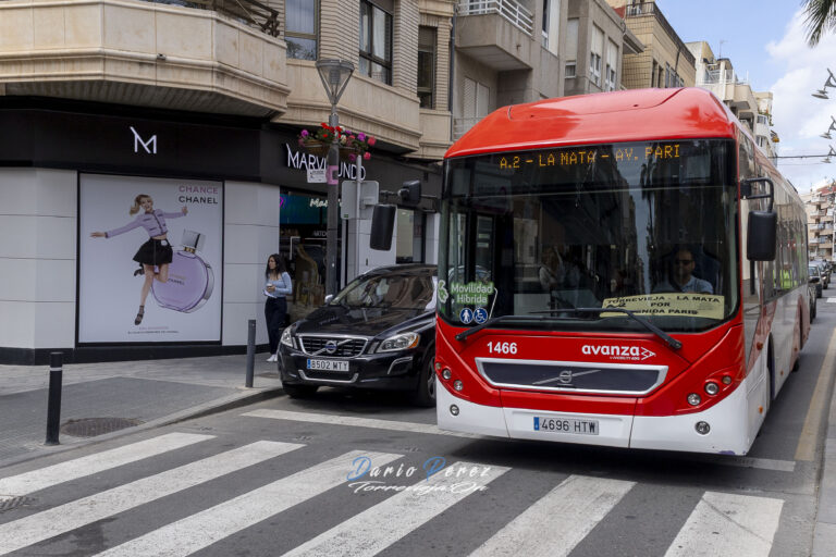Torrevieja aprueba la licitación del nuevo transporte urbano: una inversión de 115 millones para un servicio más sostenible y moderno