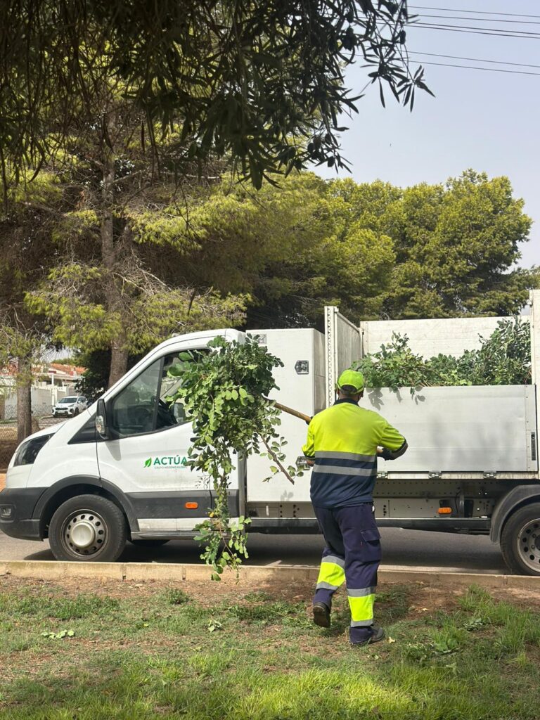 ACTUACIONES DE MEJORA DE LOS ESPACIOS VERDES DE LA URBANIZACIÓN «LOS ÁNGELES»