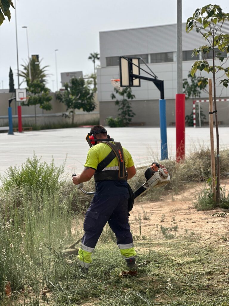 EL AYUNTAMIENTO DE TORREVIEJA PONE A PUNTO LAS ZONAS VERDES DE TODOS LOS COLEGIOS PÚBLICOS DE CARA AL INICIO DEL CURSO ESCOLAR