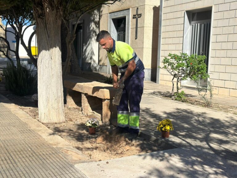 CAMPAÑA ESPECIAL DE MANTENIMIENTO Y PLANTACIÓN DE FLORES EN LOS CEMENTERIOS DE TORREVIEJA Y LA MATA CON MOTIVO DEL DÍA DE TODOS LOS SANTOS