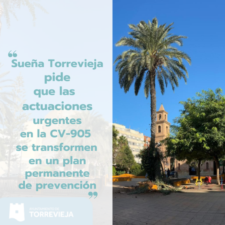 SUEÑA TORREVIEJA PIDE QUE LAS ACTUACIONES  URGENTES EN LA CV-905 SE TRANSFORMEN EN UN  PLAN PERMANENTE DE PREVENCIÓN