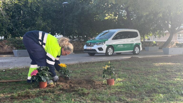 DESARROLLADA UNA ACTUACIÓN INTEGRAL DE EMBELLECIMIENTO Y MEJORA DE LA AVENIDA PINOSO