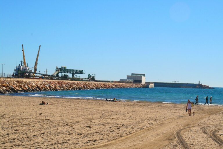 Unanimidad en el Pleno de Torrevieja para exigir la finalización del Dique de Poniente
