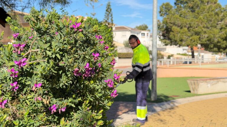 Parques y Jardines mejora de forma integral el Parque Reina de la Sal en Los Balcones