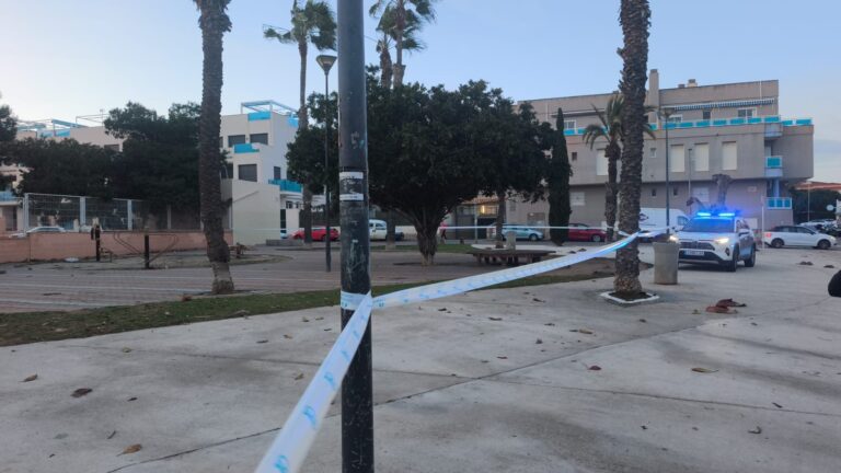 Atendidas 85 incidencias por el temporal de viento en Torrevieja durante la alerta naranja