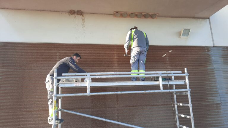 Torrevieja instala 20 nidales de avión común en el Hospital Universitario para reforzar el control natural de mosquitos