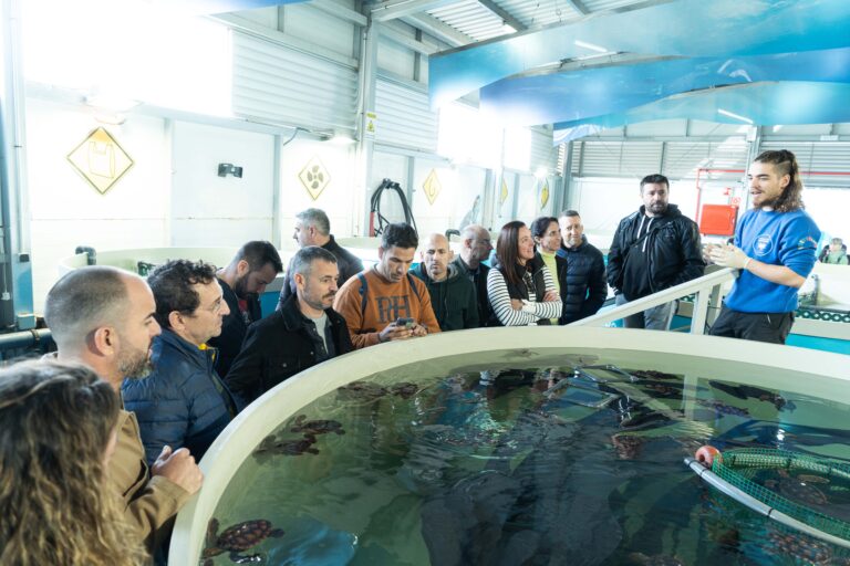 Torrevieja refuerza la formación de la Policía Local en protección de fauna marina