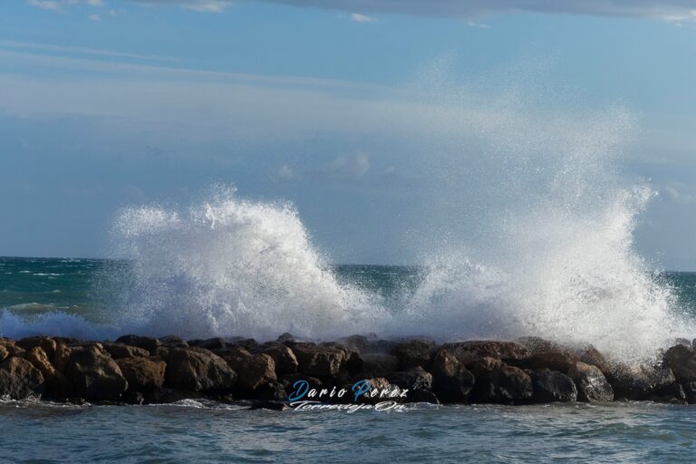 TORREVIEJA EN ESPUMA DE MAR: VERSOS QUE RESUENAN AL COMPÁS DE UNA HABANERA