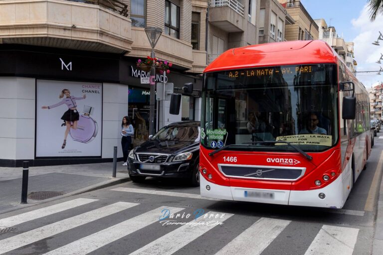 Torrevieja adjudica el nuevo transporte urbano a Avanza Movilidad Levante con un contrato de 10 años