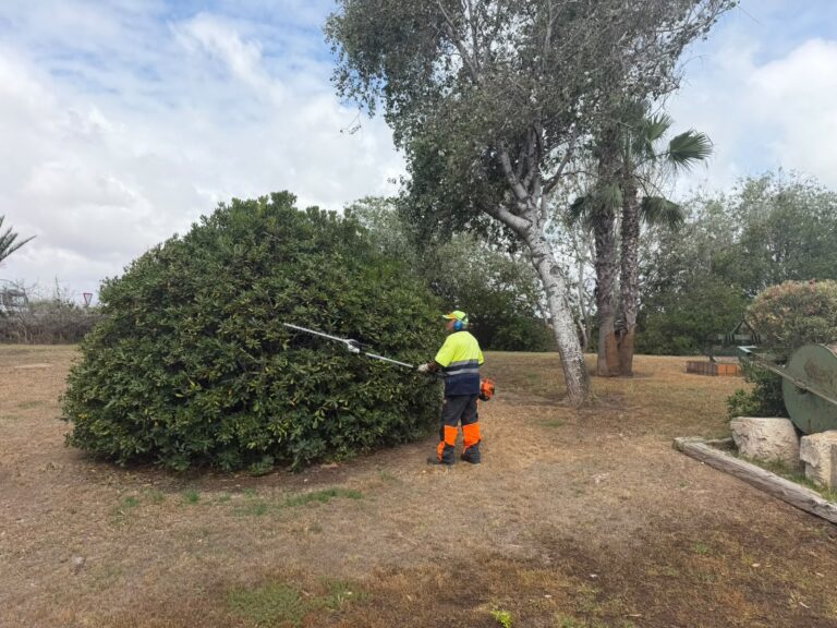 Torrevieja mejora la Plaza de la Agricultura de La Mata con una actuación integral de mantenimiento y puesta a punto