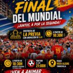 Final de Mundial de fútbol - Paseo Vista Alegre
